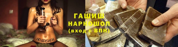 каннабис Новозыбков