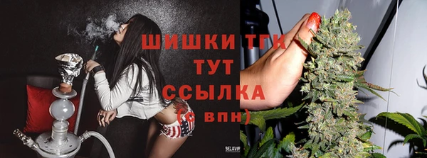 ГАЛЛЮЦИНОГЕННЫЕ ГРИБЫ Новокубанск